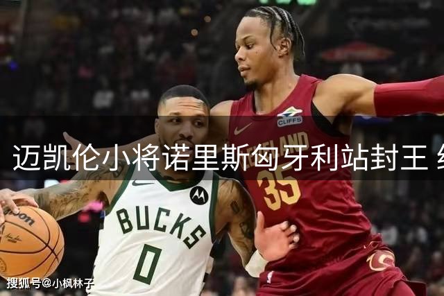 迈凯伦小将诺里斯匈牙利站封王 终结红牛连胜神话